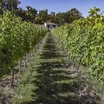 Rive Gauche - Tatil Evi Bergerac