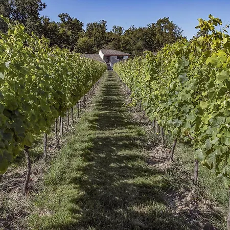 Rive Gauche - * 贝尔热拉克