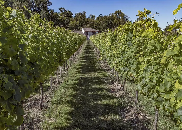 Rive Gauche - * Bergerac